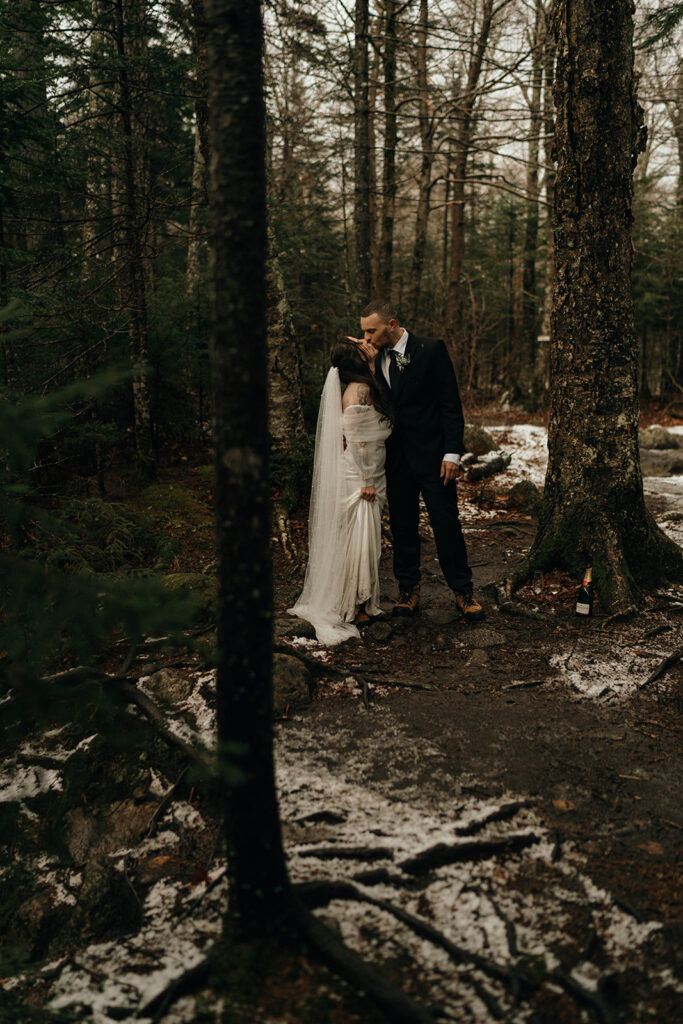 Adventure Wedding and Elopement Photographer New England | Aisha Lee Photography Cinematic Wedding Photographer | A bride and groom share a kiss in a snowy forest. She wears a white gown and veil, and he is wearing a dark suit.